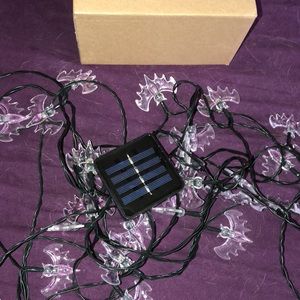 Solar powered bat lights